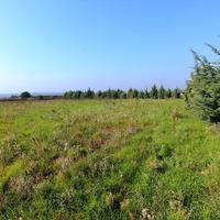 Land plot in Greece, Central Macedonia, Khal