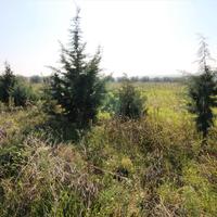 Land plot in Greece, Central Macedonia, Khal