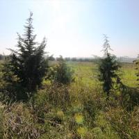 Land plot in Greece, Central Macedonia, Khal