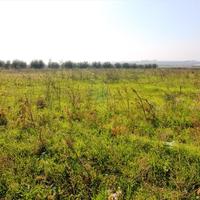 Land plot in Greece, Central Macedonia, Khal