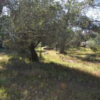 Земельный участок в Греции, Ионические острова