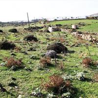 Земельный участок в Греции