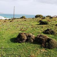 Земельный участок в Греции