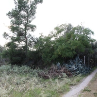 Земельный участок в Греции, Ионические острова