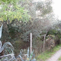 Земельный участок в Греции, Ионические острова