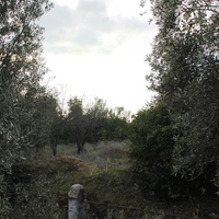 Земельный участок в Греции, Ионические острова