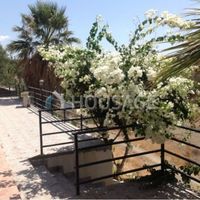 Земельный участок на Кипре, Лимасол