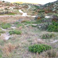 Земельный участок в Греции, Центральная Македония, Центр