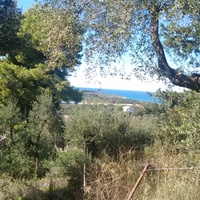 Land plot in Greece, Ionian Islands