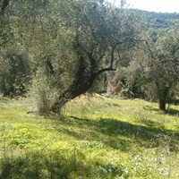 Land plot in Greece, Ionian Islands