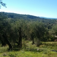 Land plot in Greece, Ionian Islands