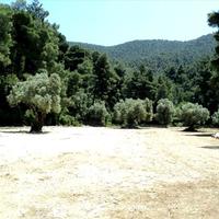 Land plot in Greece