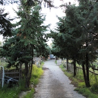 Land plot in Greece, Central Macedonia, Center