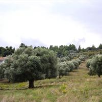Land plot in Greece, Central Macedonia, Center