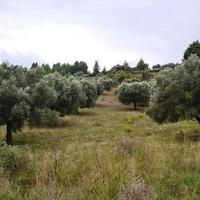 Land plot in Greece, Central Macedonia, Center