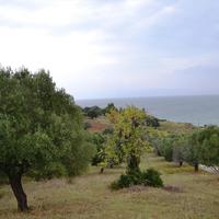 Land plot in Greece, Central Macedonia, Center