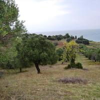 Land plot in Greece, Central Macedonia, Center
