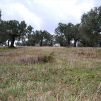 Land plot in Greece, Central Macedonia, Center