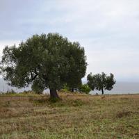 Land plot in Greece, Central Macedonia, Center