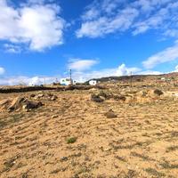 Land plot in Greece, 1000 sq.m.