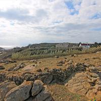 Land plot in Greece, 1000 sq.m.