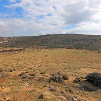 Land plot in Greece, 1000 sq.m.