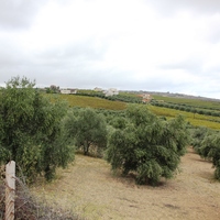 Land plot in Greece, Crete, Irakleion