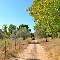 Land plot in Greece, Attica, Athens