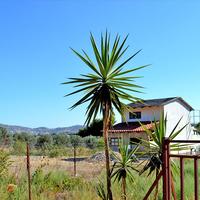 Land plot in Greece, Attica, Athens