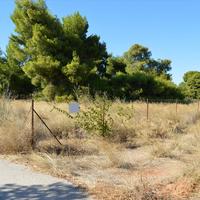 Land plot in Greece, Attica, Athens