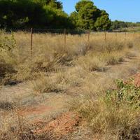 Land plot in Greece, Attica, Athens