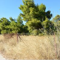 Land plot in Greece, Attica, Athens
