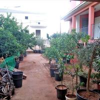 Другое в Греции, Пелопоннес, 367 кв.м.