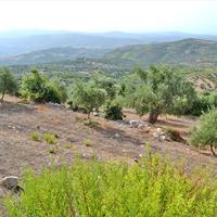 Land plot in Greece, Peloponnese, Ili