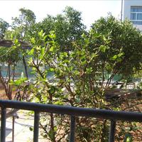 Other in Greece, Attica, Athens, 89 sq.m.