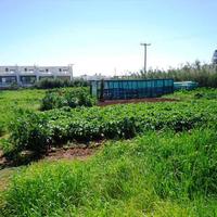 Land plot in Greece, Crete, 3783 sq.m.