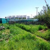 Land plot in Greece, Crete, 3783 sq.m.