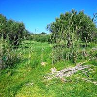 Land plot in Greece, Crete, 3783 sq.m.