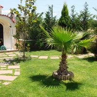 Другое в Греции, Центральная Македония, Центр, 200 кв.м.