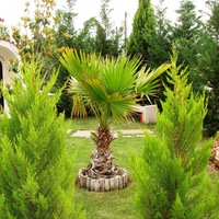 Другое в Греции, Центральная Македония, Центр, 200 кв.м.