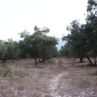 Земельный участок в Греции, Крит, Ханья