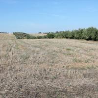 Земельный участок в Греции, Центральная Македония, Центр