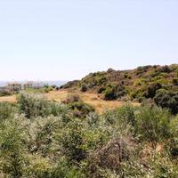 Land plot in Greece, Dode