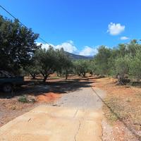 Land plot in Greece, Crete, 7800 sq.m.
