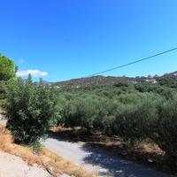 Land plot in Greece, Crete, 7800 sq.m.