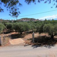 Land plot in Greece, Crete, 7800 sq.m.