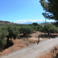 Land plot in Greece, Crete, 7800 sq.m.