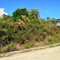 Land plot in Greece, Central Macedonia, Center