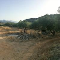 Земельный участок в Греции, Крит, 2000 кв.м.