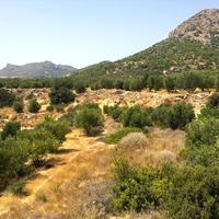 Land plot in Greece, Crete, 9000 sq.m.